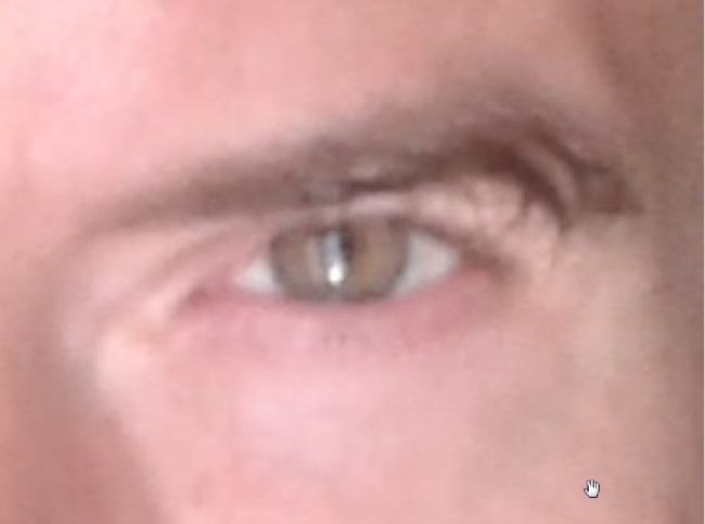 pionowa renica w moim lewym oku - czasami, gdy si denerwuj; hologram czy modyfikacja DNA - sam do koca nie wiem