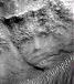 Ksztat sfotografowany na powierzchni Marsa